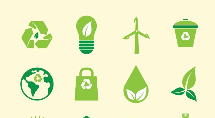 Progetto pilota di ENEA sul “cappotto verde” presso il centro Ricerche Casaccia.