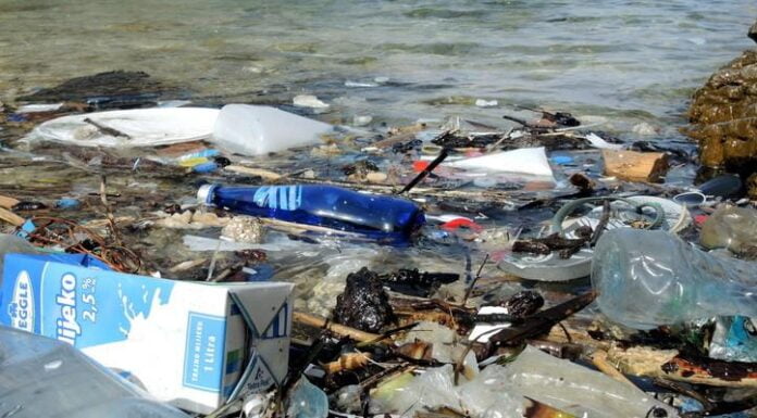 Plastica? No grazie! Ecco le nuove direttive dell’Europa