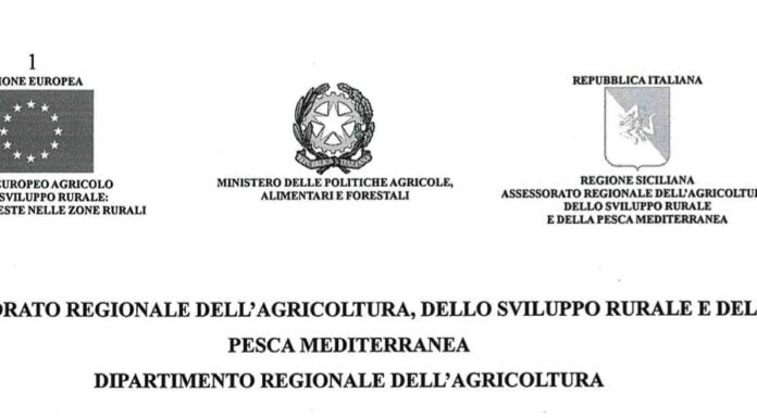 Produrre energia dagli scarti: 2,3 milioni dalla Regione Sicilia