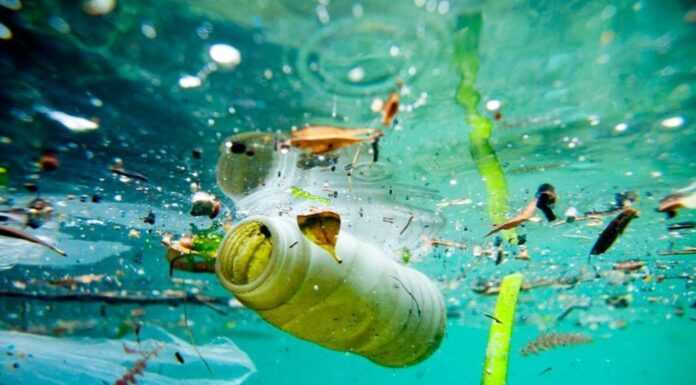 La Sicilia dice no alla plastica, oggi in commissione Ambiente si discute il disegno di legge
