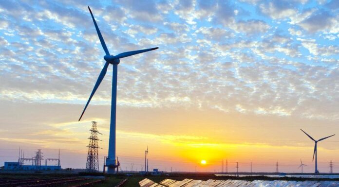 Rinnovabili: a gennaio 2019 boom delle installazioni da bioenergie