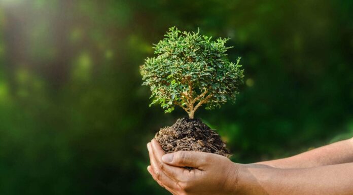 Lettera-appello di 11 ministri dell’ambiente Europei