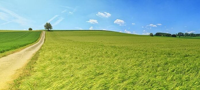 Energy Day 2019 in Sicilia: Energie Rinnovabili per l’aumento della resilienza climatica