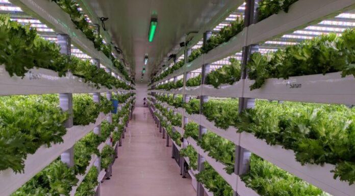 E se gli edifici abbandonati diventassero serre verticali?