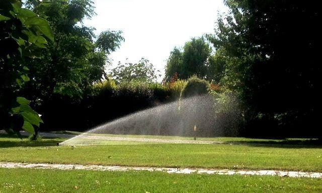 Verde pubblico: ecco come è possibile ridurre i costi e rispettare l’ambiente