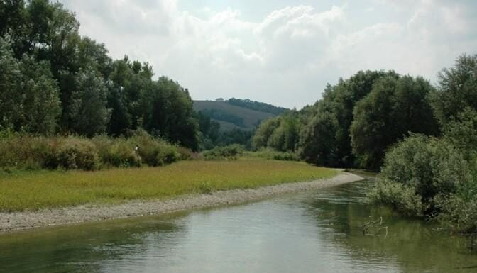Legambiente, il 60% dell’acqua di fiumi e laghi è chimicamente inquinata