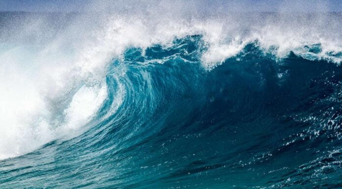 Energia dal mare: Italia al primo posto nell’area mediterranea per tecnologie e investimenti pubblici