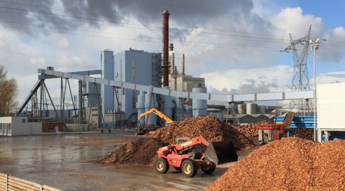 Puntare su filiera Pniec: l’idea per le biomasse