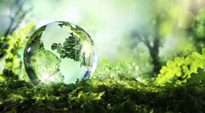 Green economy, le linee guida per la ripartenza di Nidec Asi