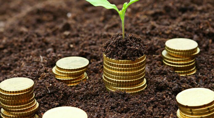 Green economy e sostenibilità: “Basta proclami, è tempo di agire”