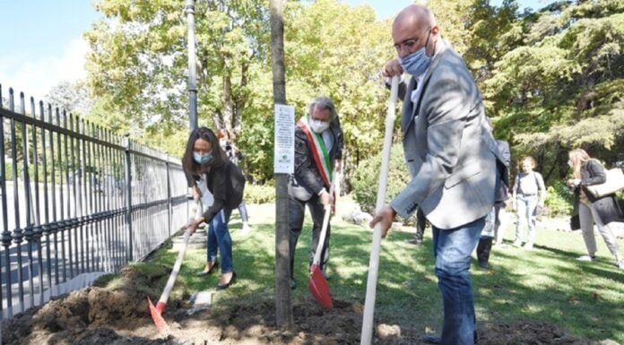 L’Emilia-Romagna si “tinge” di verde: saranno piantati 4 milioni e mezzo di alberi