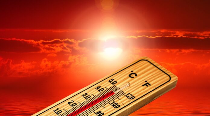 Cambiamenti climatici, l’Italia è il Paese più a rischio del Mediterraneo