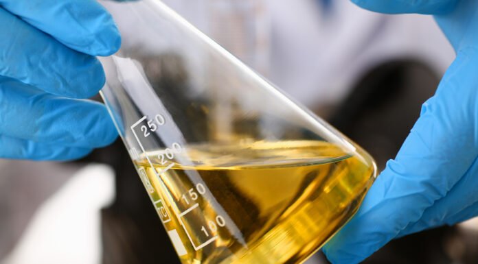 Stop ai sussidi a biodiesel con olio di palma: arriva il primo ok in Senato