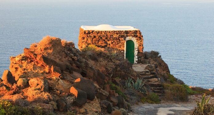 Adotta un albero e metti radici nel futuro, l’iniziativa del comune di Pantelleria