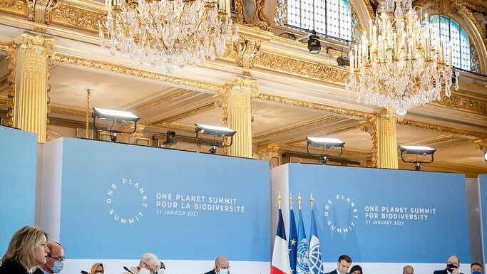L’ambiente al centro dell’economia, 30 leader mondiali discutono di biodiversità