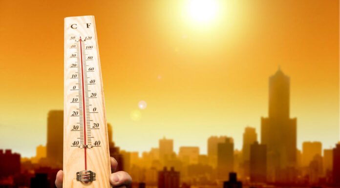 Clima, il 2020 l’anno più caldo mai registrato: allarme per l’ambiente