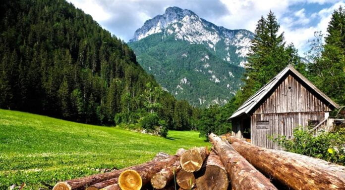 Giornata mondiale dell’ambiente: al centro il ripristino degli ecosistemi