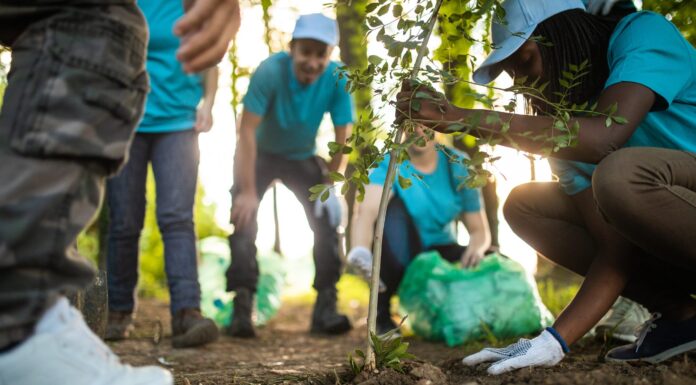 Parte il Servizio civile ambientale e per lo sviluppo sostenibile: 10 milioni stanziati dal Mite