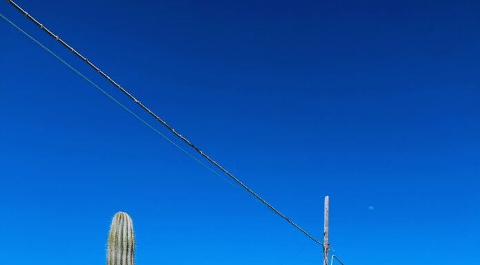 Pantelleria modello di sostenibilità con il PAESC