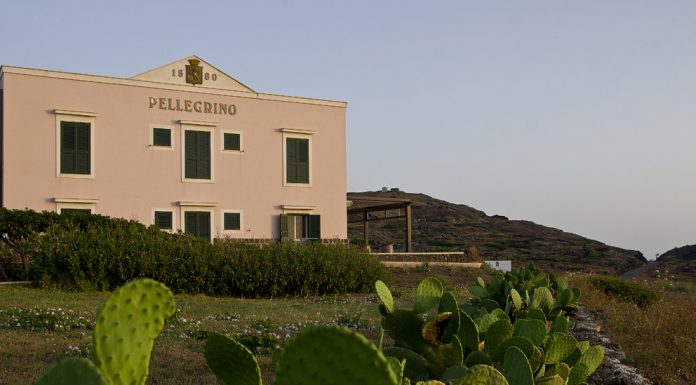 A Pantelleria la prima cantina alimentata da un impianto fotovoltaico