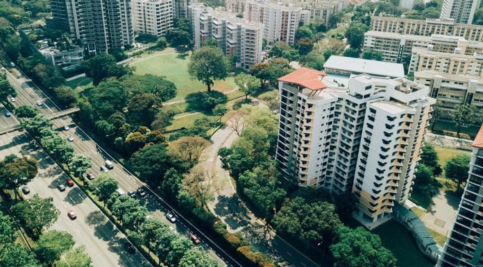 MITE e Pnrr: il primo passo verso la riforestazione