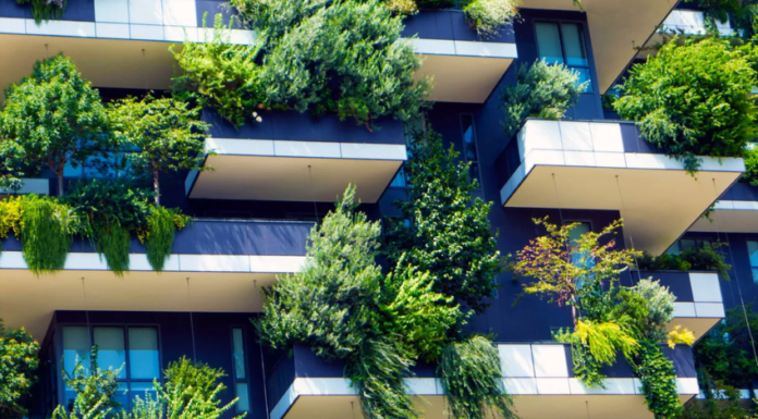 Tetti e pareti verdi? Partecipa alla mappatura di Enea