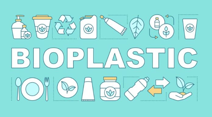 Bioplastiche: sono davvero sostenibili?