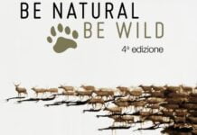Be Natural Be Wild: la natura diventa concorso artistico Il concorso d'arte “Be Natural Be Wild” con al centro il tema della natura, come motore di trasformazione di comportamenti, abitudini e attitudini