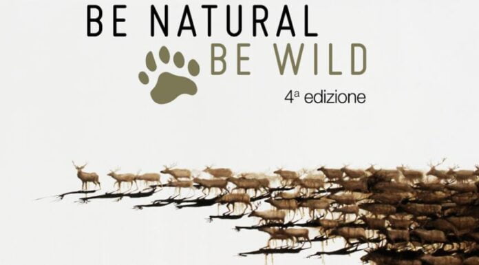 Be Natural Be Wild: la natura diventa concorso artistico Il concorso d'arte “Be Natural Be Wild” con al centro il tema della natura, come motore di trasformazione di comportamenti, abitudini e attitudini
