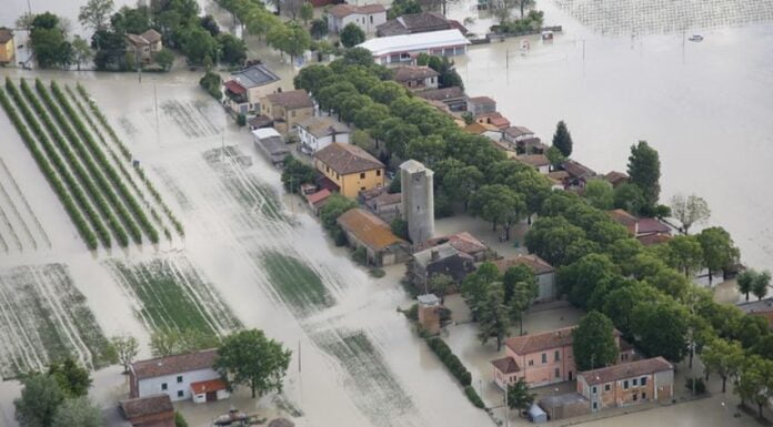 Alluvione in Emilia Romagna: arrivano i contributi Arrivano i contributi per la sostituzione o la riparazione dei mezzi distrutti o danneggiati dall’alluvione di maggio scorso; online il bando per le domande