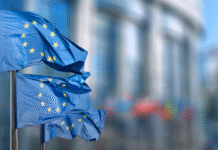 PMI, da Bruxelles lo standard green per chi è fuori dagli obblighi CSRD