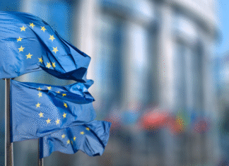 PMI, da Bruxelles lo standard green per chi è fuori dagli obblighi CSRD