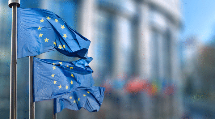 PMI, da Bruxelles lo standard green per chi è fuori dagli obblighi CSRD