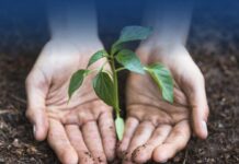 Sicilia: il 21 novembre la prima edizione del premio “Custode dell’Ambiente”