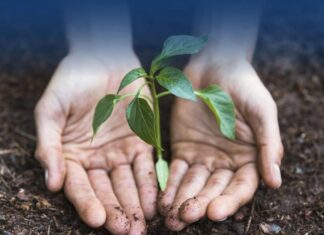 Sicilia: il 21 novembre la prima edizione del premio “Custode dell’Ambiente”